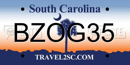 BZOG35 South Carolina License Plate