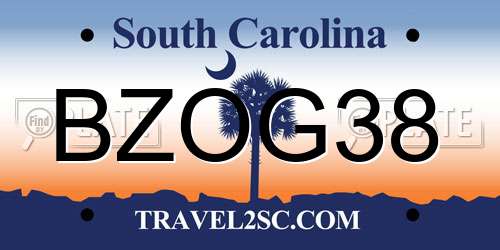 BZOG38 South Carolina License Plate