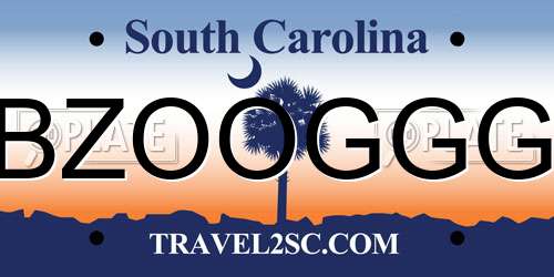 BZOOGGG South Carolina License Plate