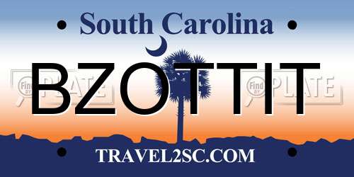 BZOTTIT South Carolina License Plate