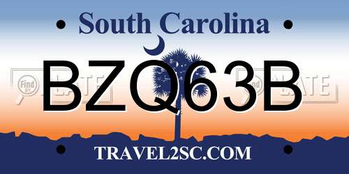 BZQ63B South Carolina License Plate