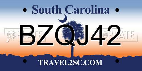 BZQJ42 South Carolina License Plate