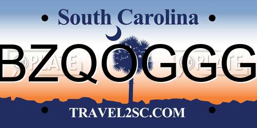 BZQOGGG South Carolina License Plate