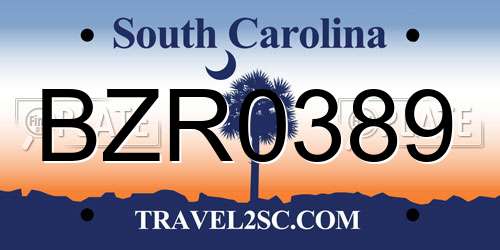 BZR0389 South Carolina License Plate