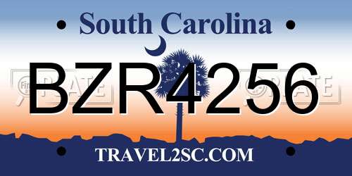 BZR4256 South Carolina License Plate
