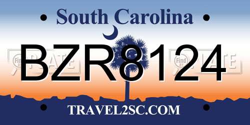 BZR8124 South Carolina License Plate