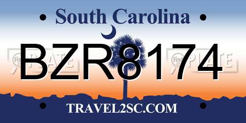 BZR8174 South Carolina License Plate