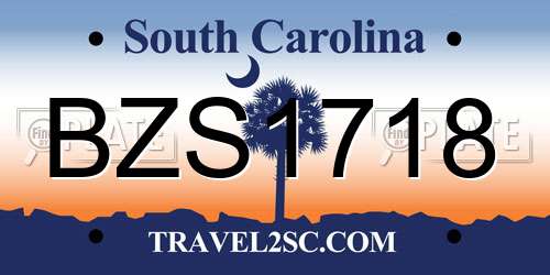 BZS1718 South Carolina License Plate