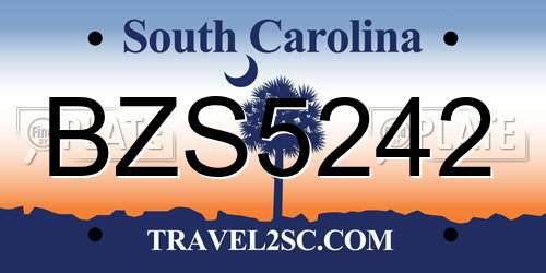 BZS5242 South Carolina License Plate