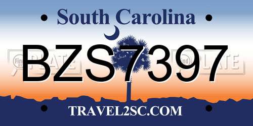 BZS7397 South Carolina License Plate