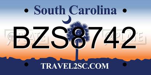 BZS8742 South Carolina License Plate