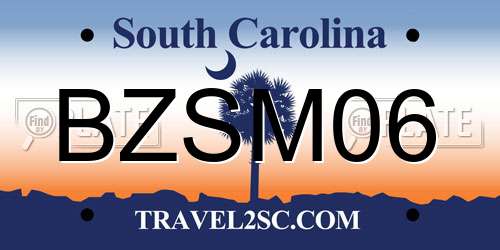 BZSM06 South Carolina License Plate