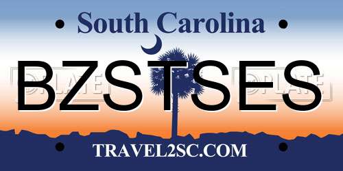 BZSTSES South Carolina License Plate