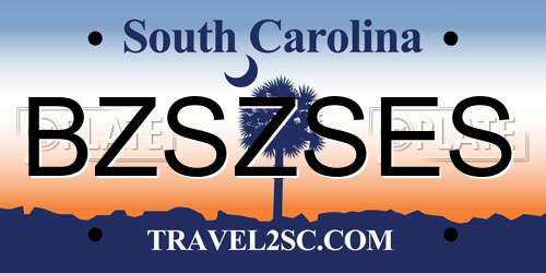 BZSZSES South Carolina License Plate