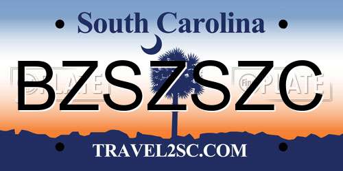 BZSZSZC South Carolina License Plate