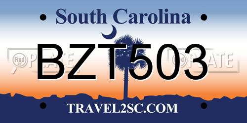 BZT503 South Carolina License Plate
