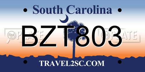 BZT803 South Carolina License Plate