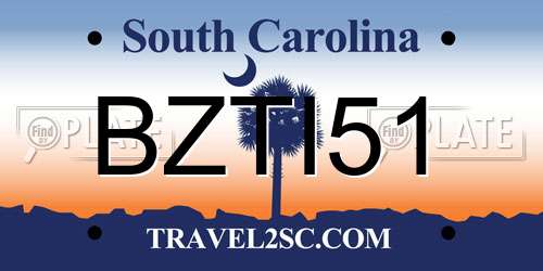 BZTI51 South Carolina License Plate