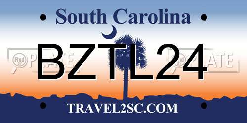 BZTL24 South Carolina License Plate