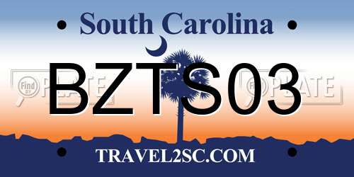 BZTS03 South Carolina License Plate