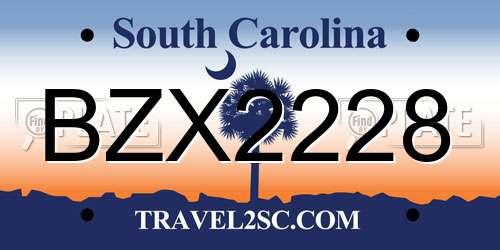 BZX2228 South Carolina License Plate