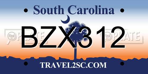 BZX312 South Carolina License Plate