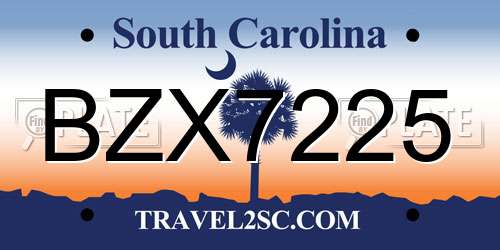 BZX7225 South Carolina License Plate