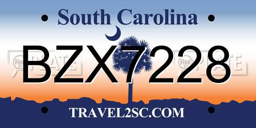 BZX7228 South Carolina License Plate