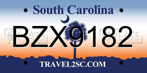 BZX9182 South Carolina License Plate