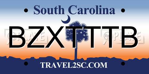 BZXTTTB South Carolina License Plate