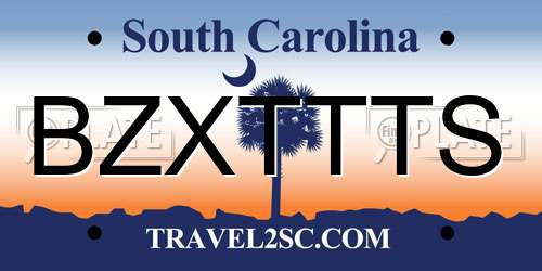 BZXTTTS South Carolina License Plate