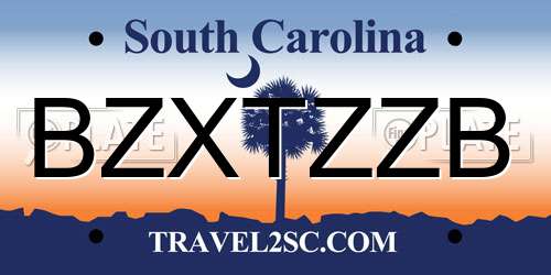 BZXTZZB South Carolina License Plate