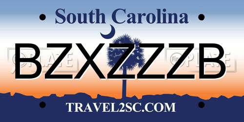 BZXZZZB South Carolina License Plate