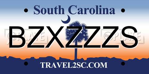 BZXZZZS South Carolina License Plate