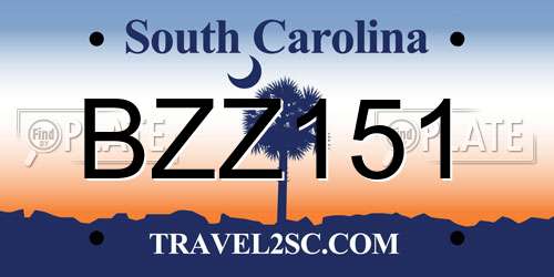 BZZ151 South Carolina License Plate