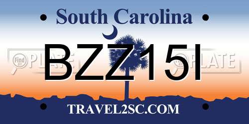 BZZ15I South Carolina License Plate
