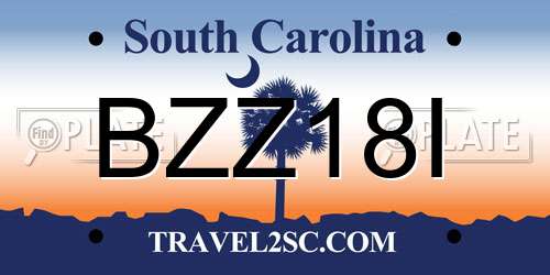 BZZ18I South Carolina License Plate