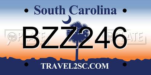 BZZ246 South Carolina License Plate