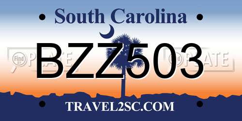 BZZ503 South Carolina License Plate