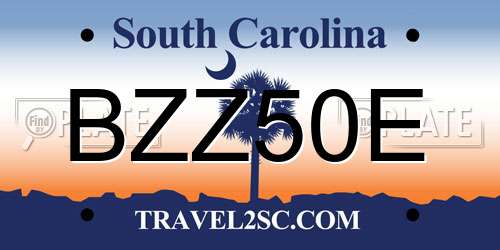 BZZ50E South Carolina License Plate
