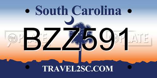 BZZ591 South Carolina License Plate