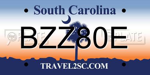 BZZ80E South Carolina License Plate