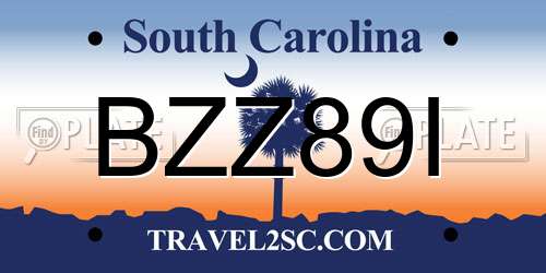 BZZ89I South Carolina License Plate