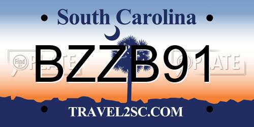 BZZB91 South Carolina License Plate