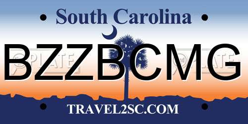 BZZBCMG South Carolina License Plate