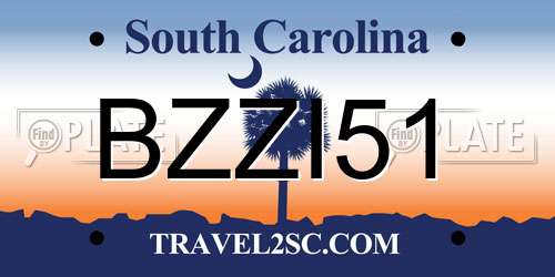 BZZI51 South Carolina License Plate