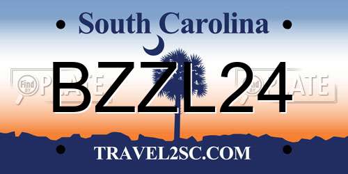 BZZL24 South Carolina License Plate