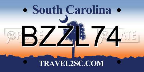 BZZL74 South Carolina License Plate