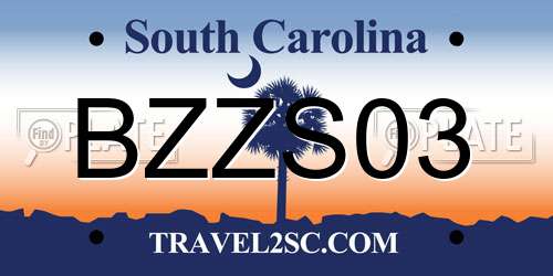 BZZS03 South Carolina License Plate