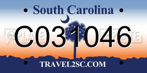 C031046 South Carolina License Plate